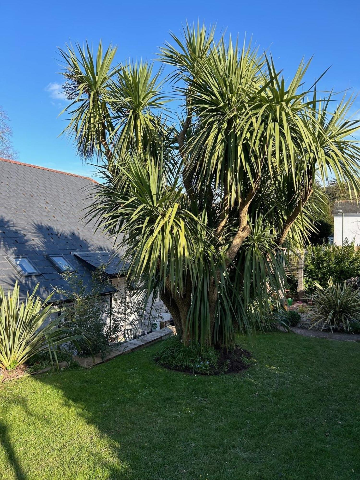 Rosedale A Charming Detached 4 Bedroom Cottage. 布里克瑟姆 外观 照片